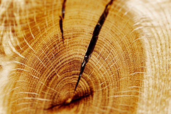 Close up of Oak knot with epoxy resin. part of Oak dining table. july 2015