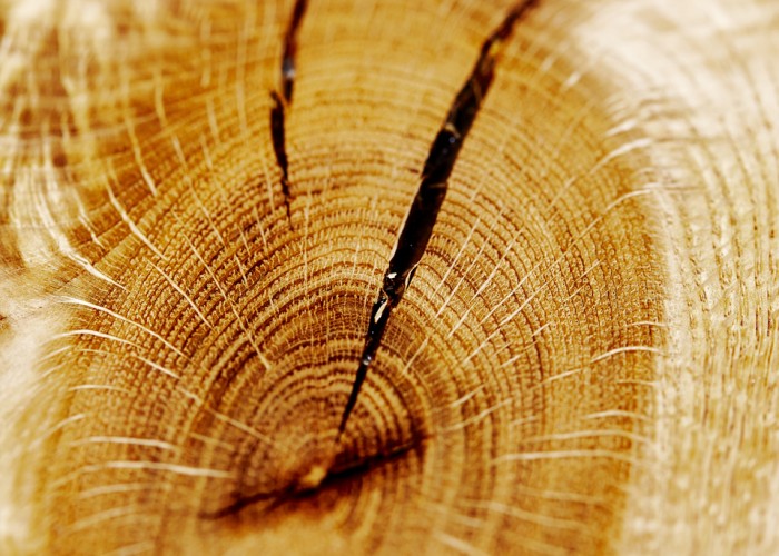 Close up of Oak knot with epoxy resin. part of Oak dining table. july 2015