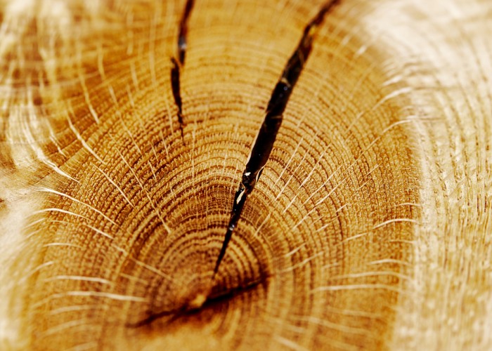 Close up of Oak knot with epoxy resin. part of Oak dining table. july 2015